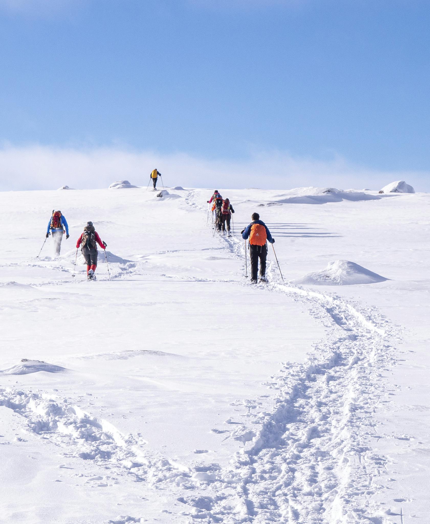 Group of hikers trekking through snow-covered landscape in Norway with clear blue skies.